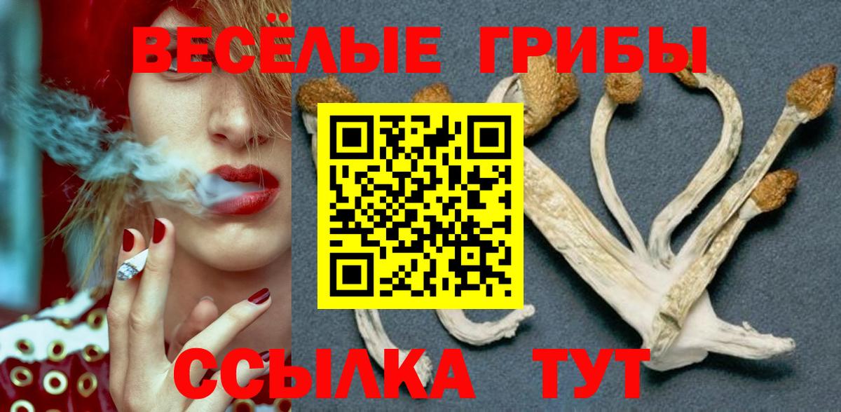 Псилоцибиновые грибы Psilocybine cubensis  Вход с VPN  Асино  Галлюциногенные грибы мицелий 