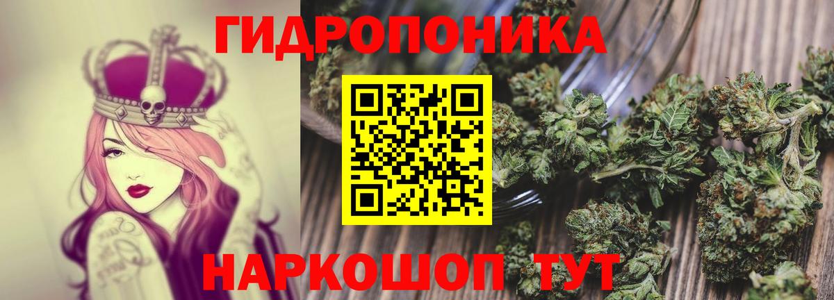 Асино  Шишки марихуана AK-47  Вход с VPN  Бошки марихуана гибрид  Каннабис план  МАРИХУАНА White Widow 